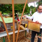 animation apiculteurs et abeilles aux Jardins de Brocéliande