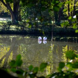 les jardins ensorcelés 2021