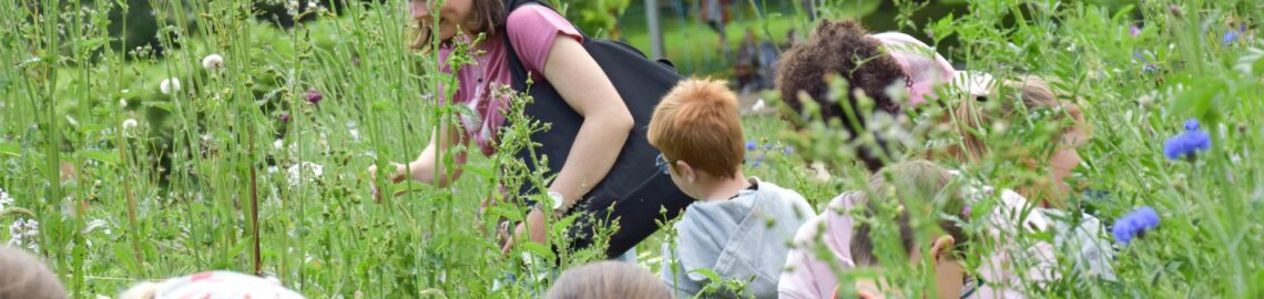 atelier nature jardins de Brocéliande