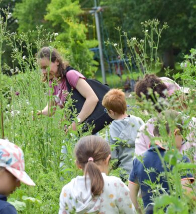 atelier nature jardins de Brocéliande