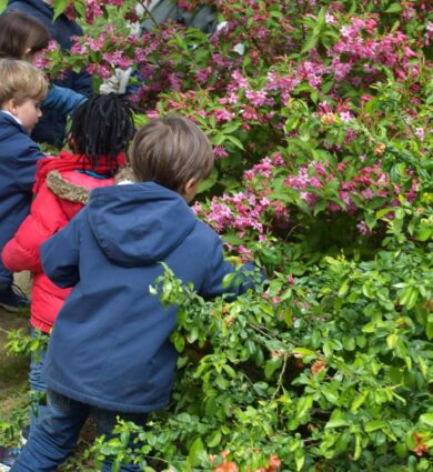 atelier nature jardins de Brocéliande