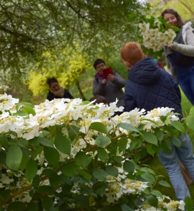 atelier nature jardins de Brocéliande