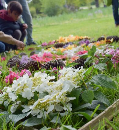 atelier nature jardins de Brocéliande