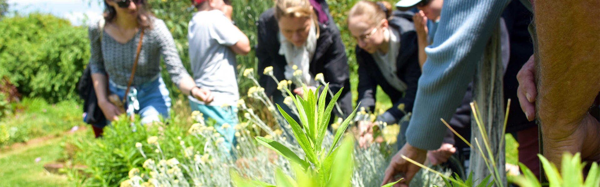 groupes adultes balade Jardins de Brocéliande